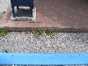 IMG_0219.jpg
